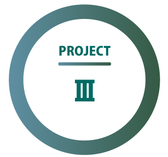 PROJECTⅢ