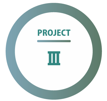 PROJECTⅢ